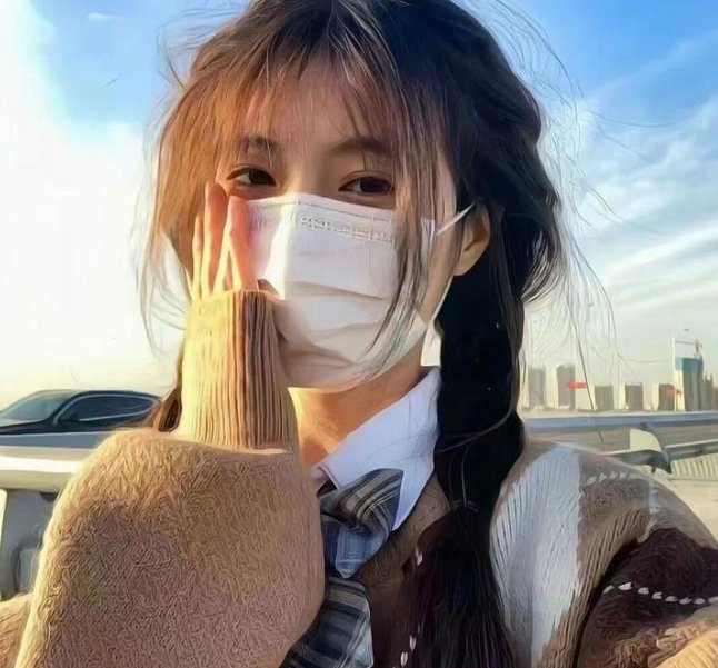 妙探双龙